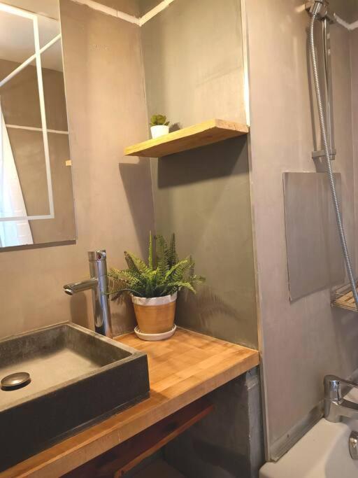 Le Cosy Plein Centre Avec Terrasse Apartment เมกซีมิเยอซ์ ภายนอก รูปภาพ
